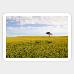 Australian Rural Landscape Sticker